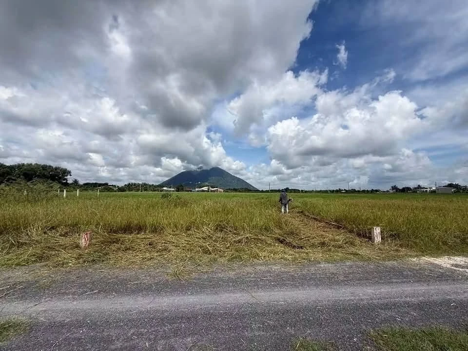 Bán đất 100m² Dương Minh Châu Tân Bình 169 triệu - Ảnh thu nhỏ 2