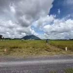 Bán đất 100m² Dương Minh Châu Tân Bình 169 triệu - Ảnh thu nhỏ 2