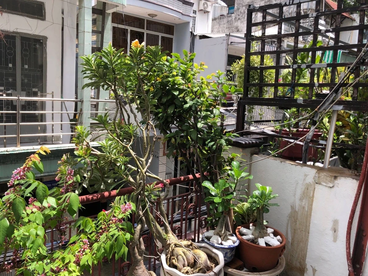 Bán nhà hẻm ô tô 50,7m2 khu Cư xá Tự Do, 2PN, sổ hồng sẵn - Ảnh thu nhỏ 3