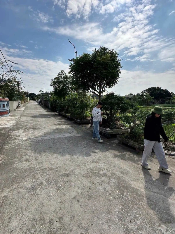 Bán đất 100 m² Kiến Xương Thái Bình 700 triệu