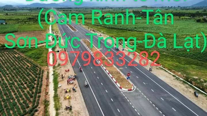 Bán đất keo lá tràm 10 ha tại Ninh Sơn Khánh Hòa - Ảnh thu nhỏ 2