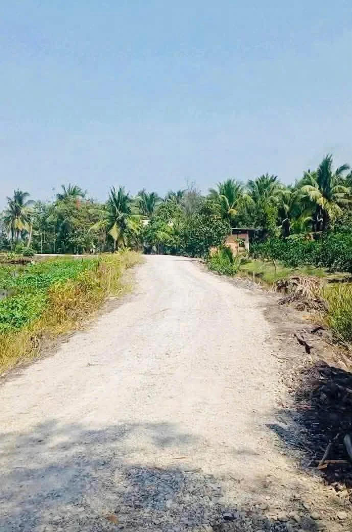 Bán 4.800m² đất vườn Long An, giá 1 tỷ 900 triệu - Ảnh thu nhỏ 2