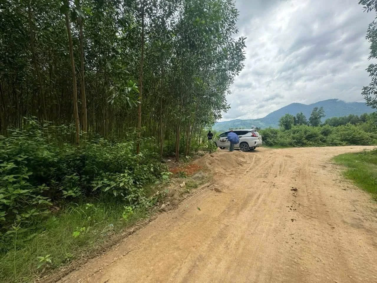 Bán lô đất vườn 7400 m² tại Khánh Hòa - Ảnh 1