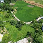 Bán đất 1.200m² Cư Yên Lương Sơn Hòa Bình 3 tỷ - Ảnh thu nhỏ 3