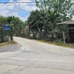 Bán 1100m² đất lúa + 150m² thổ cư Châu Thành Long An - Ảnh thu nhỏ 1