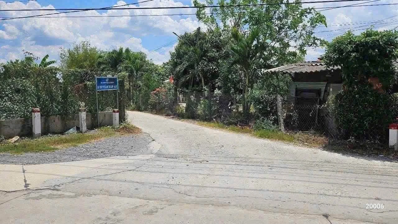 Bán 1100m² đất lúa + 150m² thổ cư Châu Thành Long An - Ảnh 1
