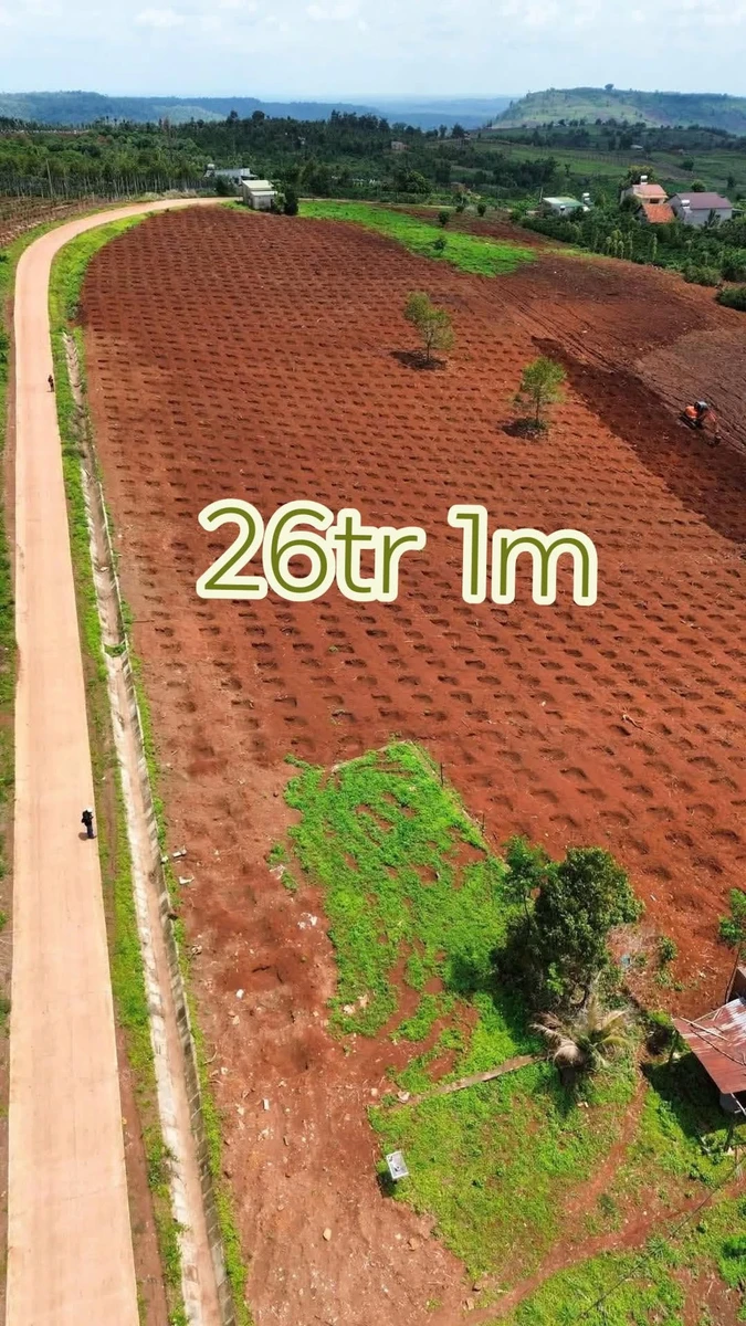 Bán đất 60m² mặt đường 26 triệu/m² tại Đắk Mil - Ảnh 1