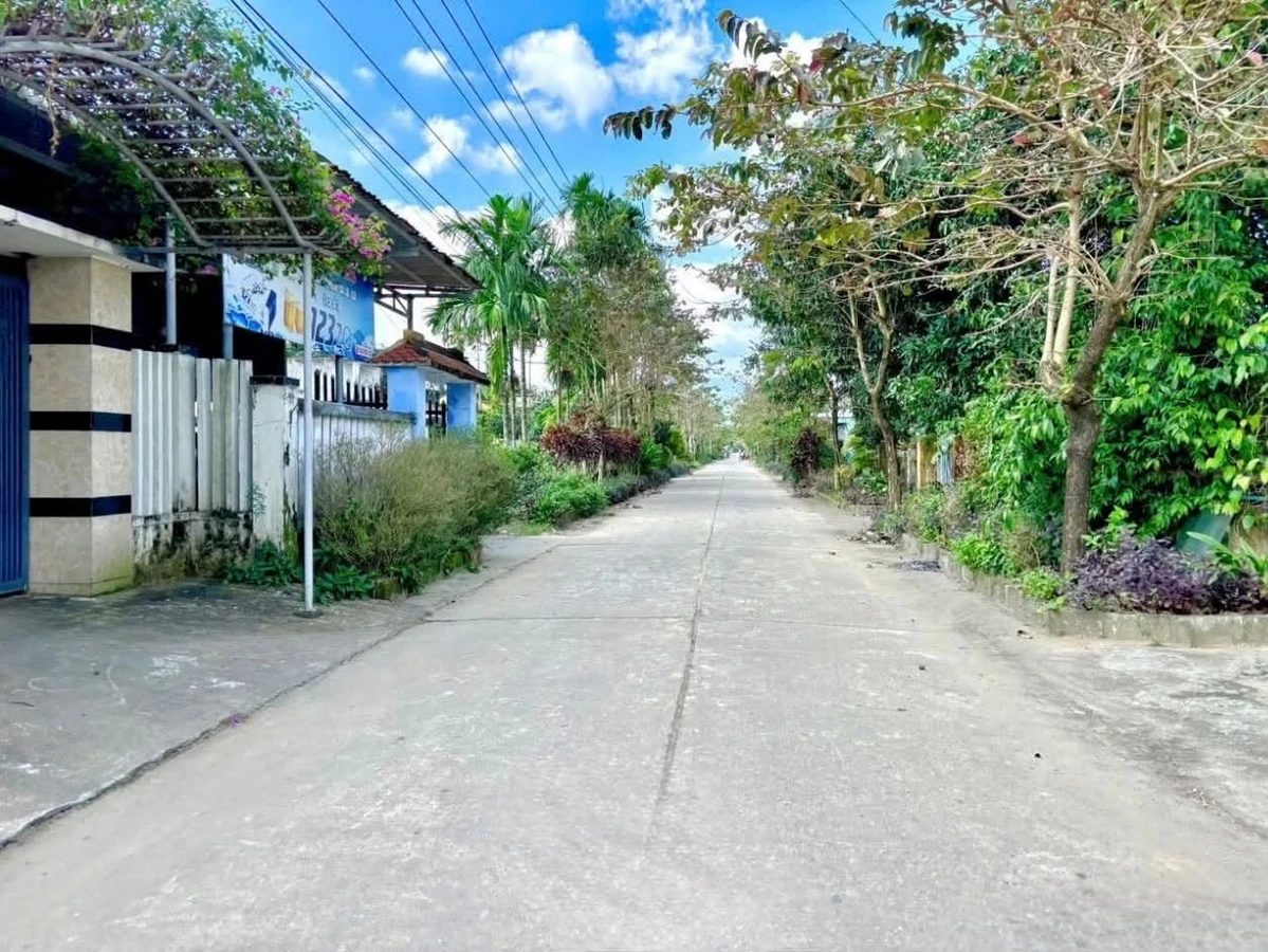 Bán lô đất 120m2 Đại Hiệp, Bình Chánh - Ảnh thu nhỏ 5