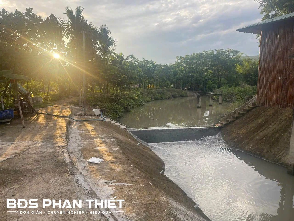 Bán đất mặt tiền DT22 Hàm Phú 11.337 ha, 8,9 tỷ - Ảnh thu nhỏ 5