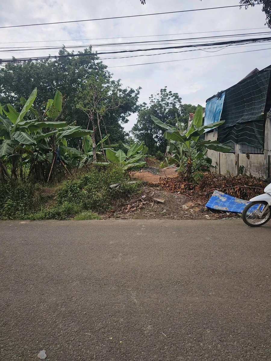Bán lô đất 120m² Đồng Nai - Ảnh thu nhỏ 2