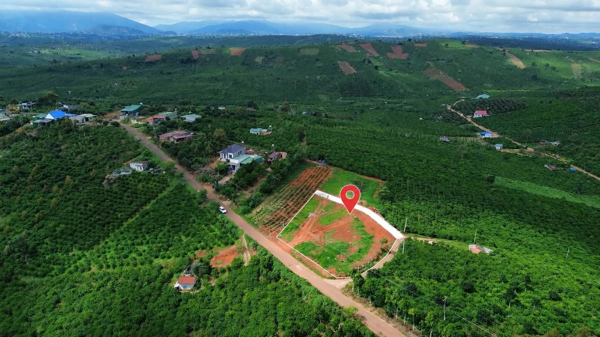 Bán lô đất mặt tiền 150m2 Tân Nghĩa, Di Linh, Lâm Đồng - Ảnh thu nhỏ 4
