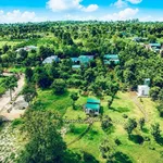 Bán đất thương mại Biển Hồ Pleiku 2.127 m² - 4 tỷ 2 - Ảnh thu nhỏ 2