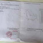 Văn Thủy 2 Cam An Khánh Hòa | hơn 5.000m2 | chỉ 150 triệu/sào - Ảnh thu nhỏ 5