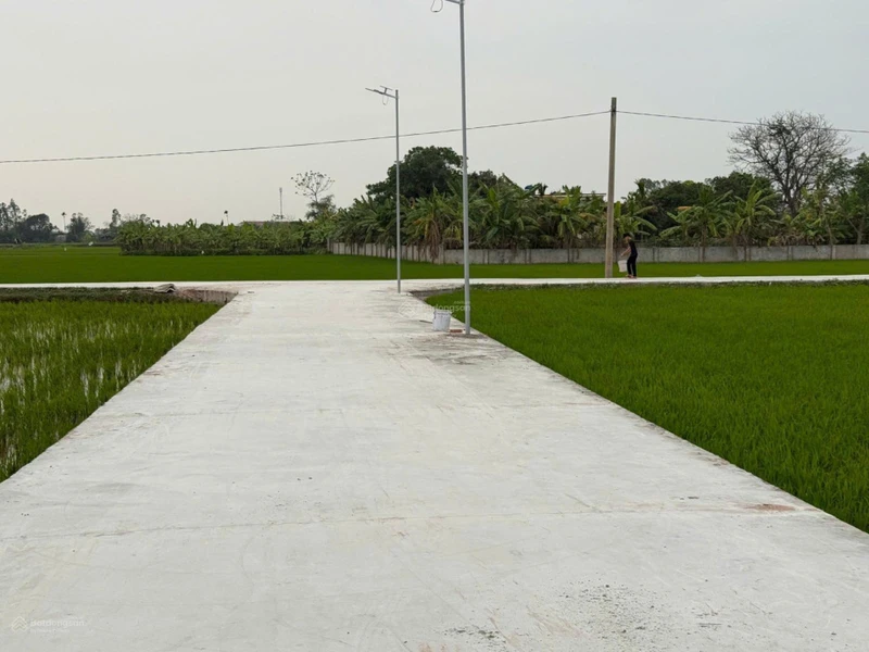 Bán gấp đất tại Xã Nam Thịnh, Huyện Tiền Hải, Thái Bình, 550 triệu, 120 m2