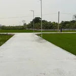 Bán gấp đất tại Xã Nam Thịnh, Huyện Tiền Hải, Thái Bình, 550 triệu, 120 m2 - Ảnh thu nhỏ 1