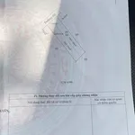 Bán lô đất 350m² mặt tiền đường Hội Nghĩa, Bình Tân - Ảnh thu nhỏ 2