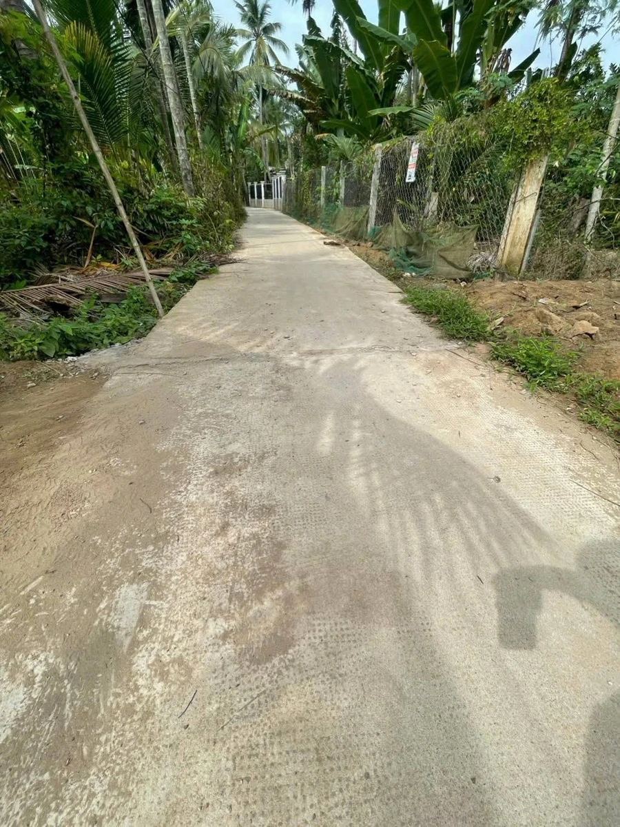 Bán đất Bến Tre 500m2, ngang 16m, Bình Tân - Ảnh thu nhỏ 3