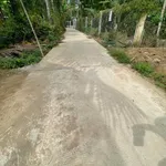 Bán đất Bến Tre 500m2, ngang 16m, Bình Tân - Ảnh thu nhỏ 3
