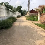 Bán đất 160m² mặt tiền Hiệp Hòa, Bình Dương - Ảnh thu nhỏ 1