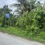 Ngân hàng thanh lý lô đất 1.442m2 tại Ngãi Tứ, Tam Bình, Vĩnh Long - Ảnh thu nhỏ 8