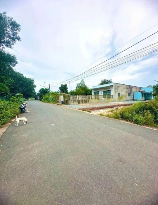 Bán đất 200m2 Đ. Suối Sâu, An Tịnh Trảng Bàng, Giá 700 triệu, SHR, mặt tiền 5m, Gần KCN Trảng Bàng. - Ảnh thu nhỏ 2
