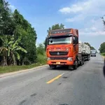 Bán kho xưởng 778.5m² Lương Hoà Mới, Bình Chánh - Ảnh thu nhỏ 2