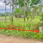 Bán đất Khánh Đông 1432m² chỉ 750 triệu - Ảnh thu nhỏ 2