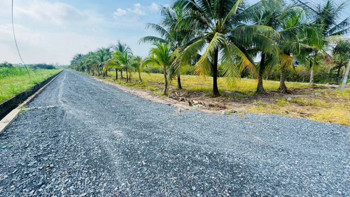 Bán đất tổ cư 65m² Gia Lộc Tây Ninh 5xx triệu - Ảnh thu nhỏ 3