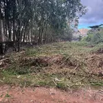 Bán đất Bình Mỹ Vĩnh Tân 300m² 1 tỷ 9 Tân Bình - Ảnh thu nhỏ 1
