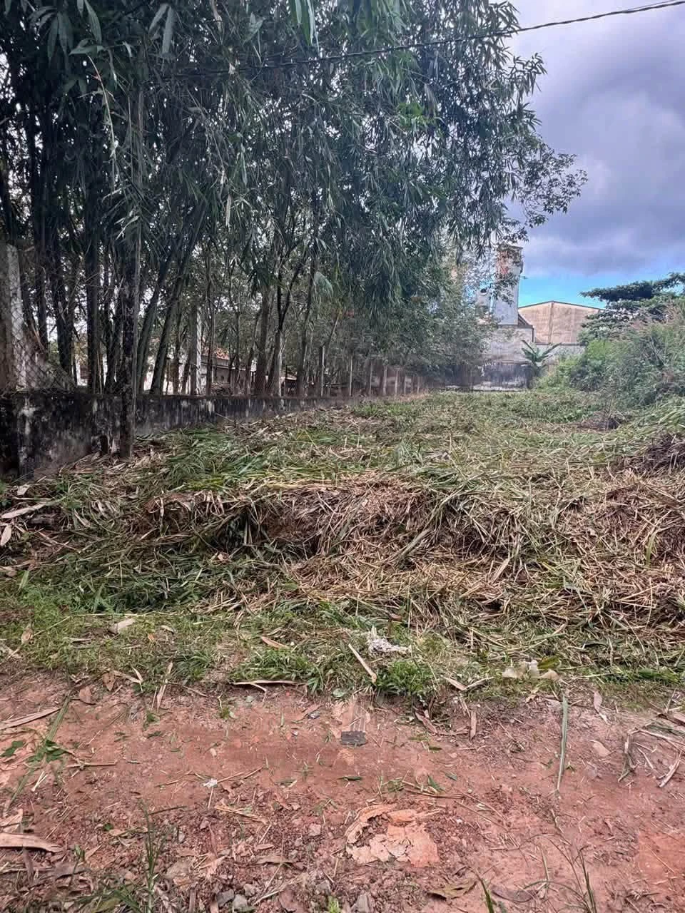 Bán đất Bình Mỹ Vĩnh Tân 300m² 1 tỷ 9 Tân Bình - Ảnh 1