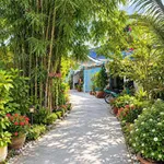 Bán nhà vườn 386m2 với nội thất đầy đủ gần BV Nhi đồng Cần Thơ, 1 tỷ 800 - Ảnh thu nhỏ 1
