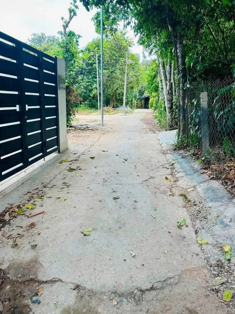 Bán đất kiệt ô tô 100m2 Bùi Thị Xuân, Huế 1,5 tỷ - Ảnh thu nhỏ 4