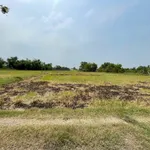 Bán lô đất 1.000m2 gần Vinhomes Tân Mỹ, Bình Chánh - Ảnh thu nhỏ 1