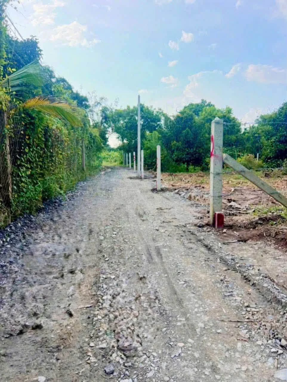 Bán đất Tây Ninh 67.5m² hẻm 88 Nguyễn Văn Linh 240 triệu - Ảnh 1