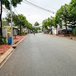 Bán đất mặt tiền Mạc Đỉnh Chi, Tân An, 145m² - Ảnh thu nhỏ 3