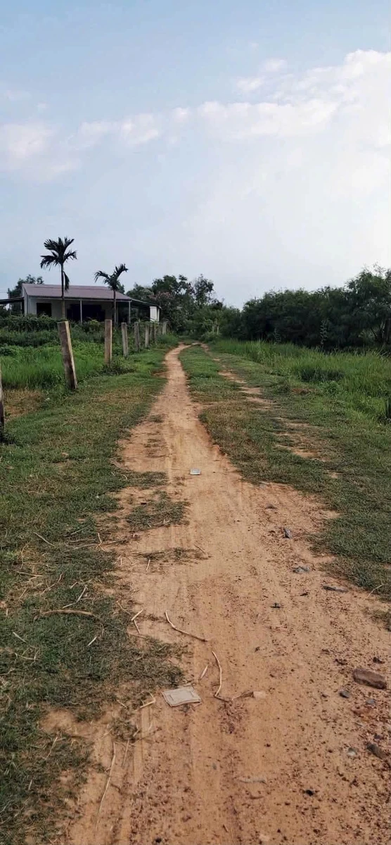 Bán đất gần 1 sào An Phú Hàm Chính 200 triệu - Ảnh thu nhỏ 2