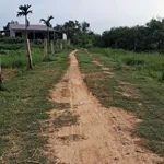 Bán đất gần 1 sào An Phú Hàm Chính 200 triệu - Ảnh thu nhỏ 2