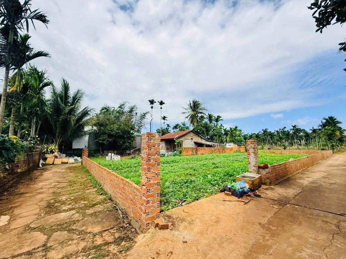 Bán đất 300m² Ngô Chí Quốc, Tân Lập, Bình Chánh - Ảnh thu nhỏ 2