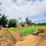 Bán đất 300m² Ngô Chí Quốc, Tân Lập, Bình Chánh - Ảnh thu nhỏ 2