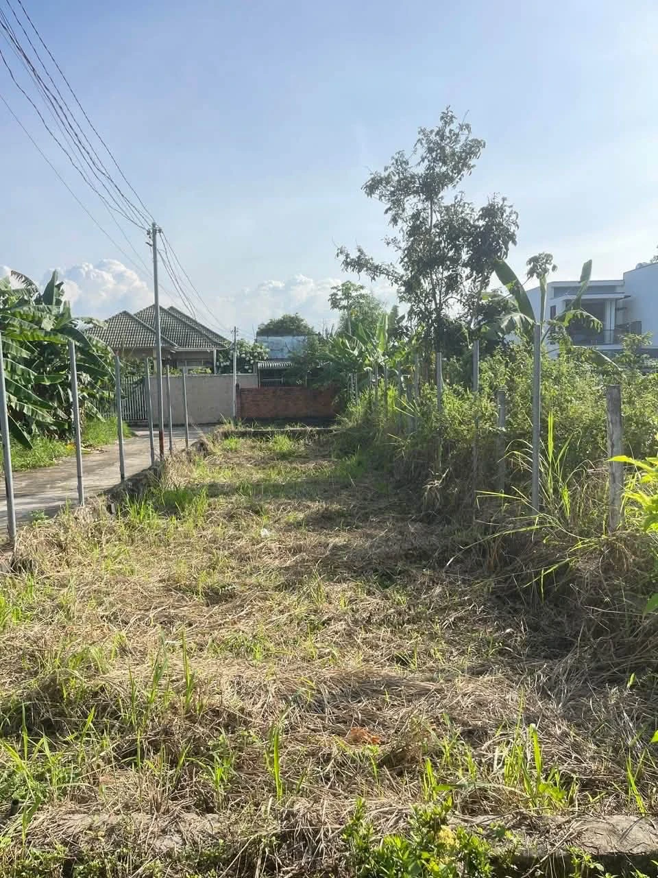 Bán nền đất 5x35m (175m²) Long Khánh, sổ riêng, 1 tỷ 250 - Ảnh 1
