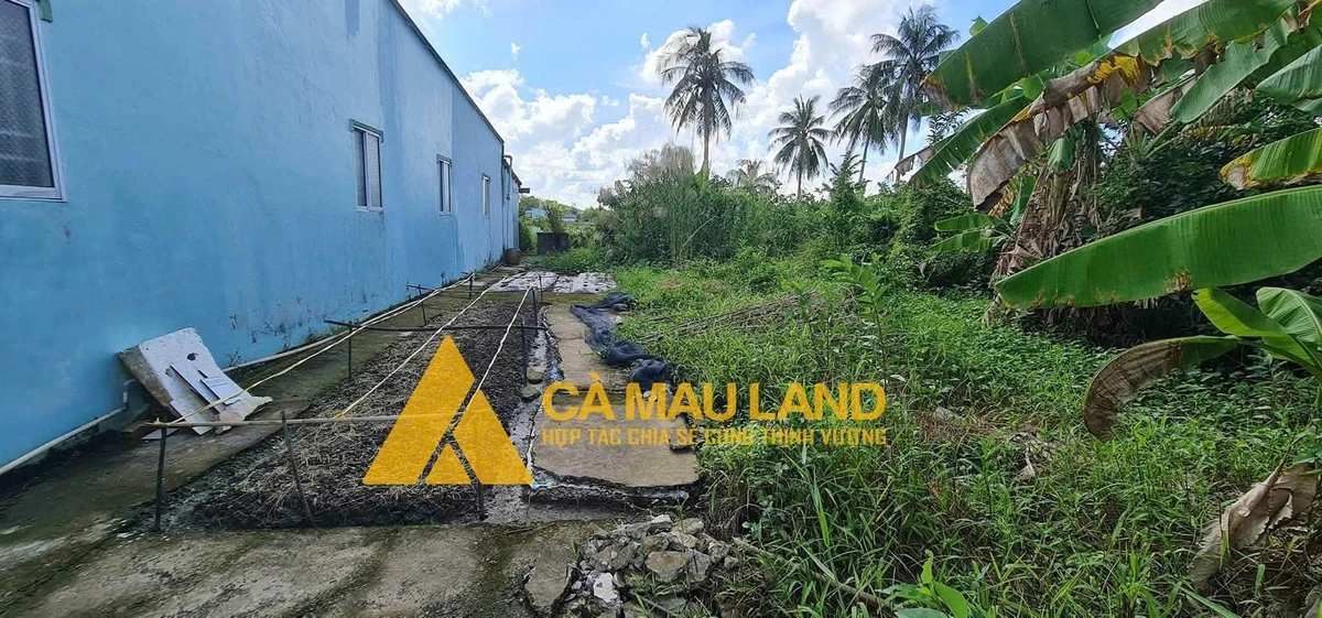 Bán nền đất Cà Mau 180m², 500 triệu gần QL 1A - Ảnh 1