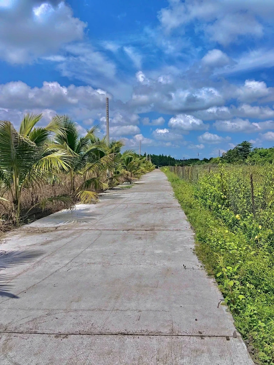 Bán đất vườn 1 sào Bảo Vinh Long Khánh - Ảnh thu nhỏ 3