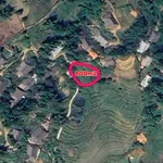 Bán đất 600m² Mái Trạ Hàm Rồng Nhà Bè 500 triệu - Ảnh thu nhỏ 1