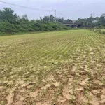 Bán đất 700m2 mặt đường Hội Phước - Hòa Phú, Xã Bà Nà 6 tỷ - Ảnh thu nhỏ 2