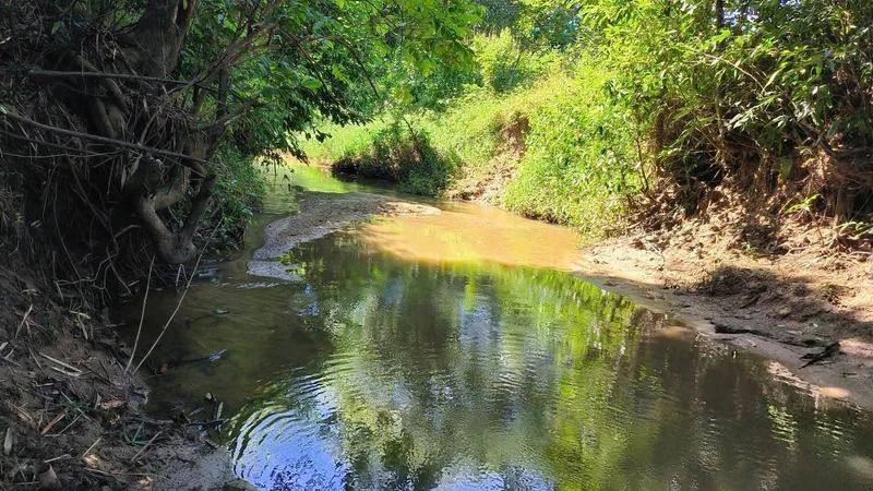 Bán lô đất farm giáp suối 4700m² Nha Trang