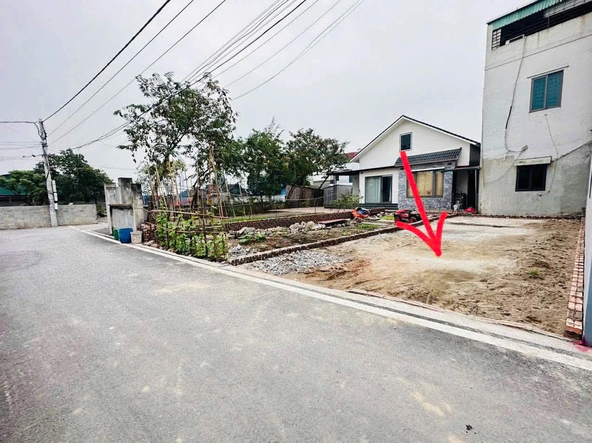 Bán đất nền 59,6 m² sát Đại học Bách Khoa, Hưng Yên - Ảnh thu nhỏ 3