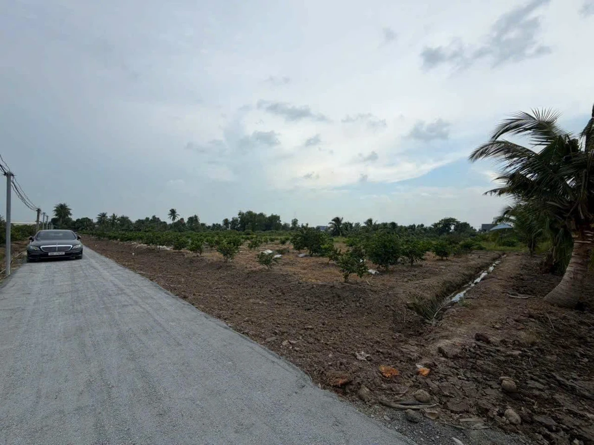 Bán đất Bến Lức Long An 500-1000m² gần QL1A - Ảnh thu nhỏ 3