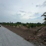 Bán đất Bến Lức Long An 500-1000m² gần QL1A - Ảnh thu nhỏ 3