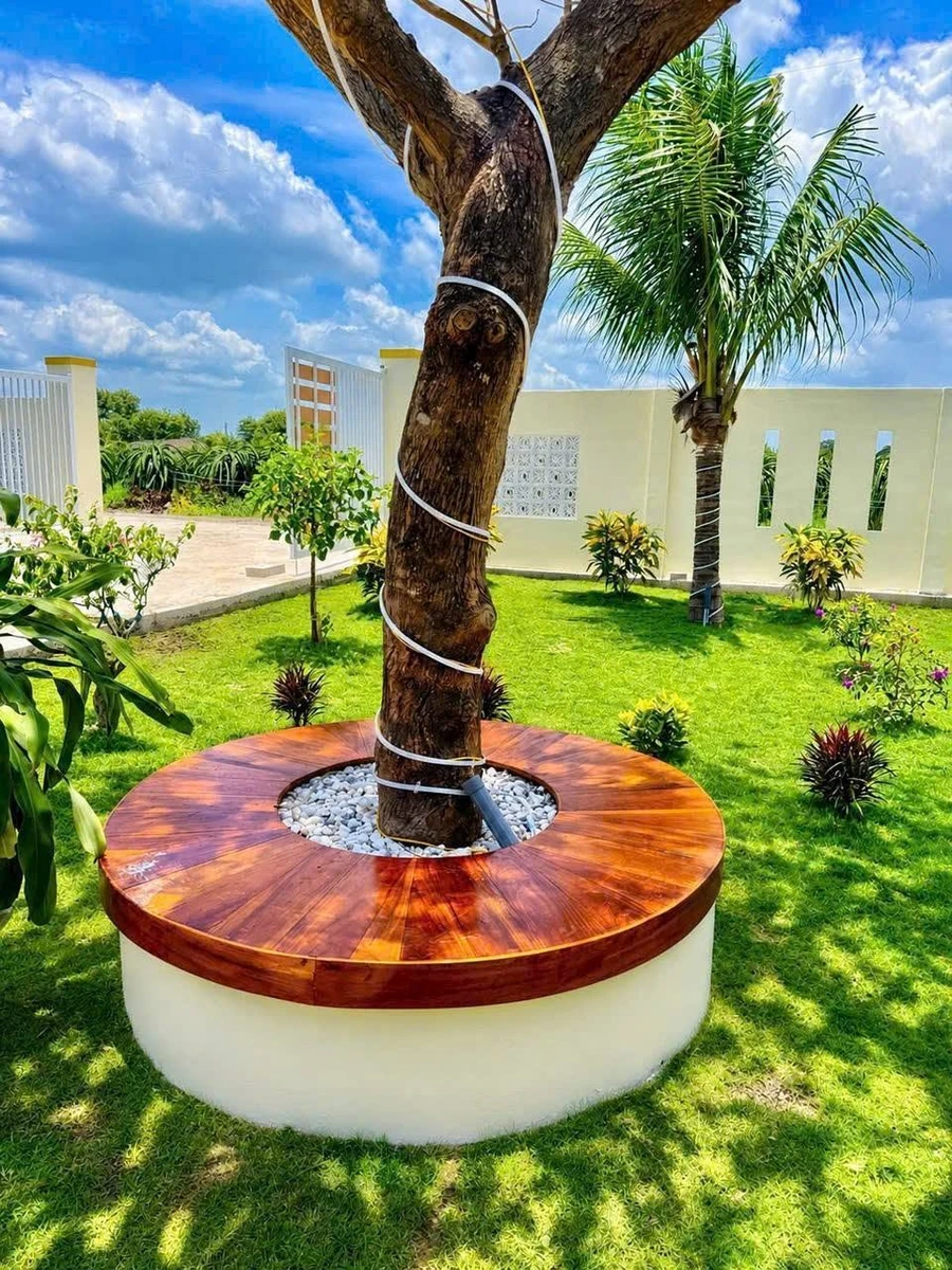 Bán nhà có vườn, cây trái, 1.606m² ở Phan Thiết - Ảnh thu nhỏ 5