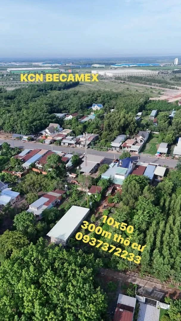 Bán đất 300m2 tại KP Đồng Hưu Chơn Thành, Bình Dương - Ảnh thu nhỏ 2